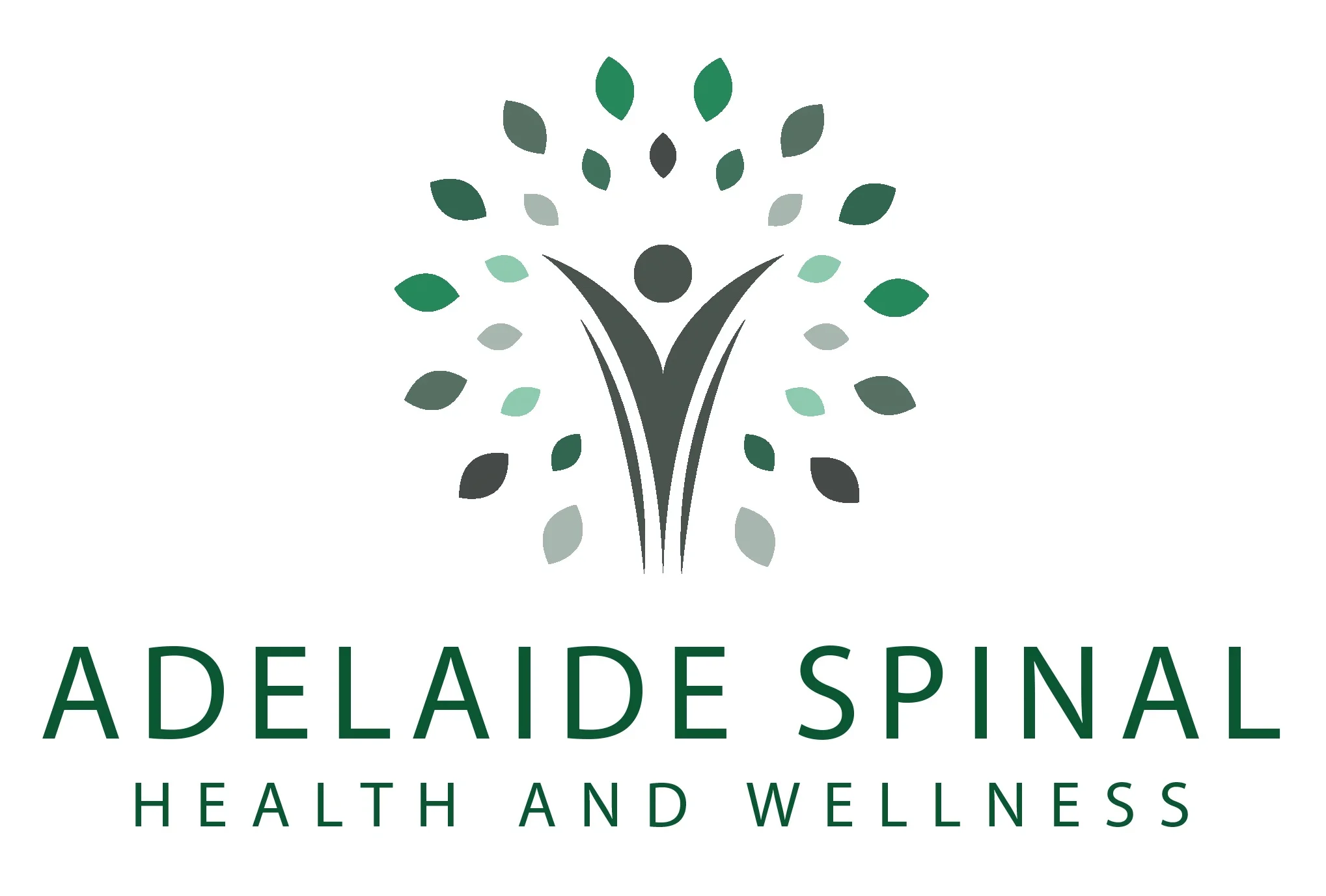 Adelaide Spinal Health and Wellness, Vale Park, SA