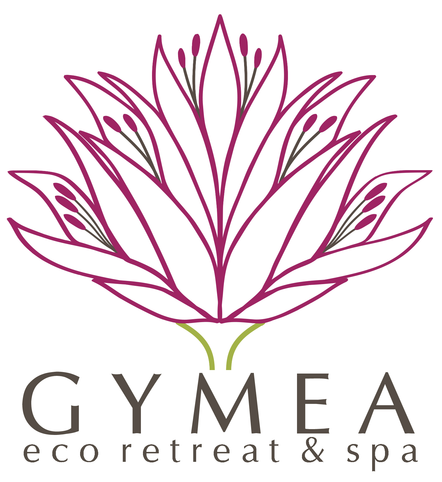 Gymea Eco Retreat & Spa, Uki, NSW