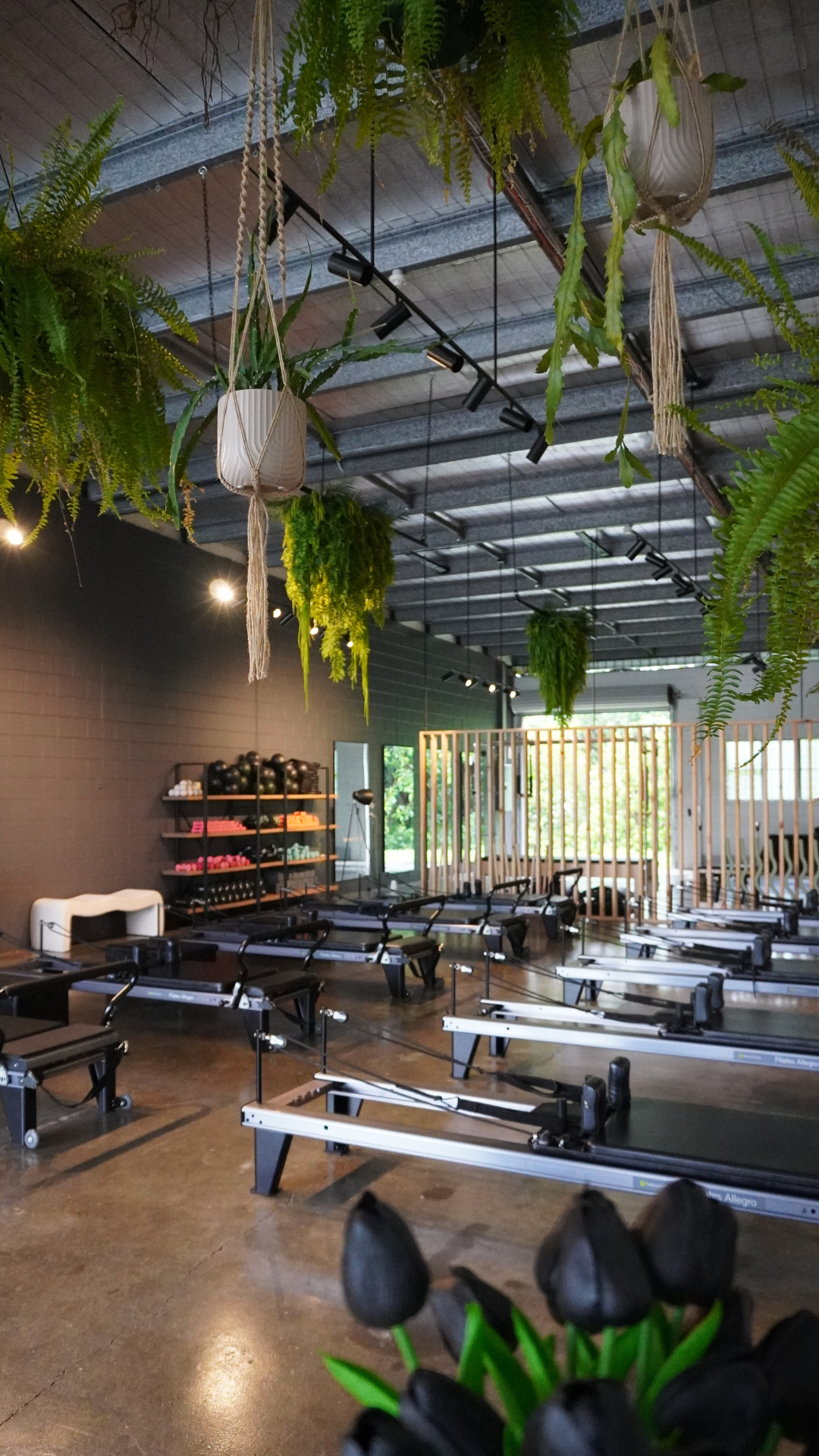 Tropic State Pilates, Manunda, QLD