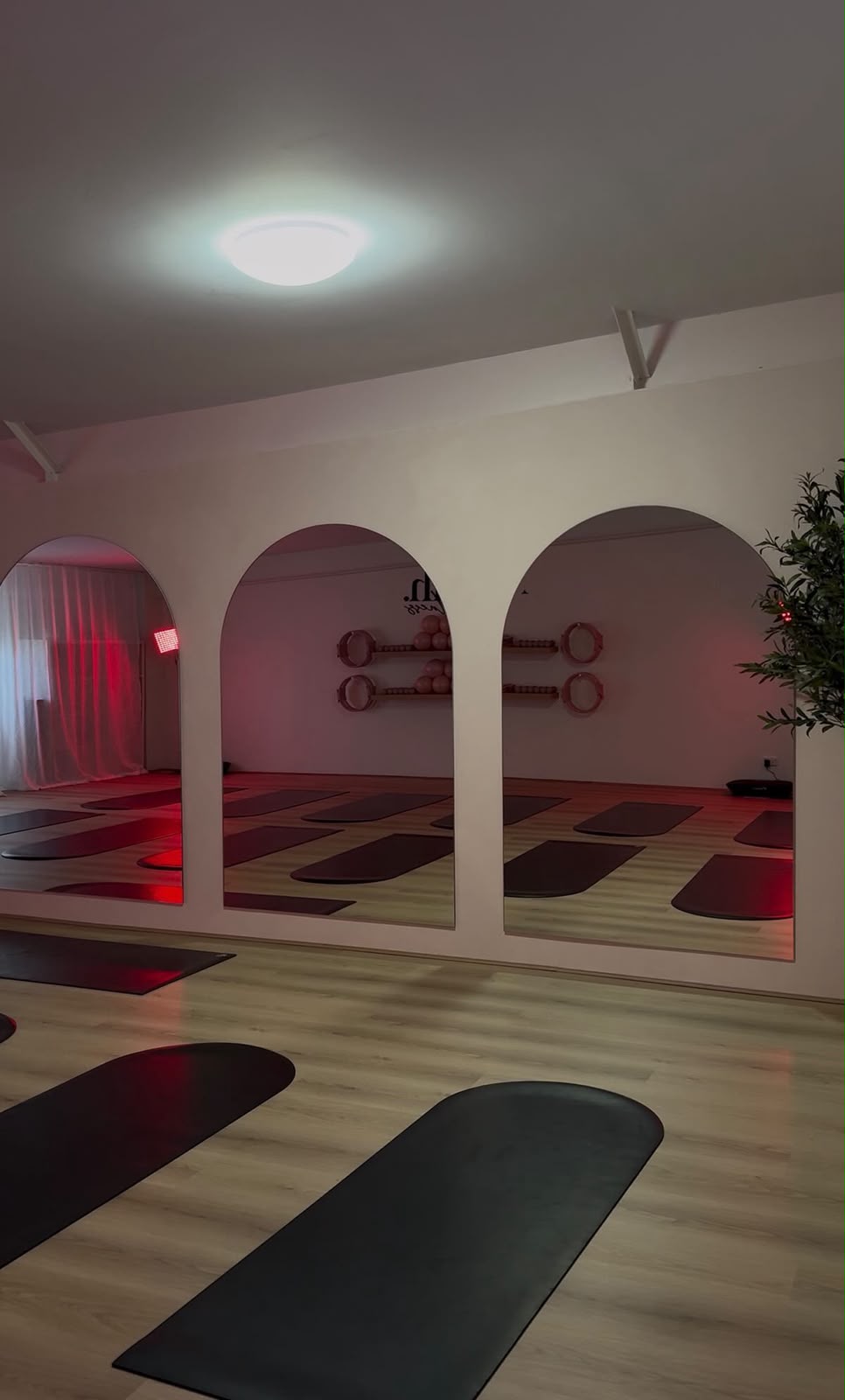 Maylah Wellness, Belmore, NSW