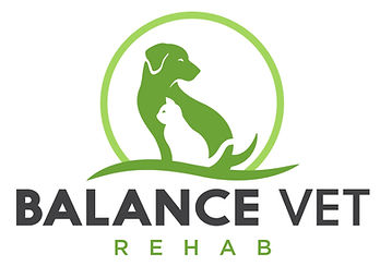 Balance Vet REHAB, Tamborine Mountain, QLD
