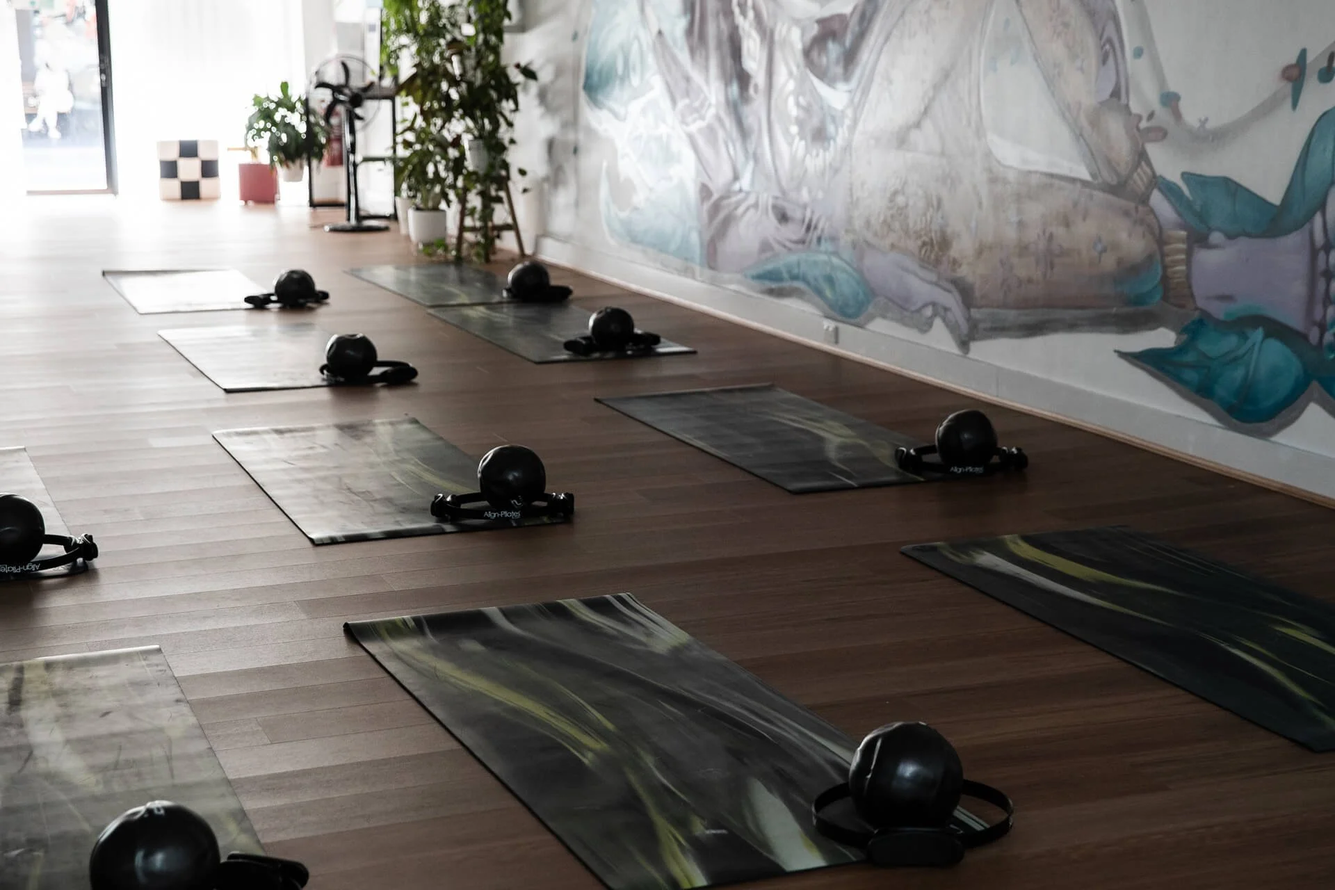TRUNK Reformer Pilates Studio, Dulwich Hill, NSW