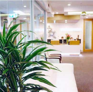 Sydney Centre for TMJ & Sleep Therapy, Sydney, NSW