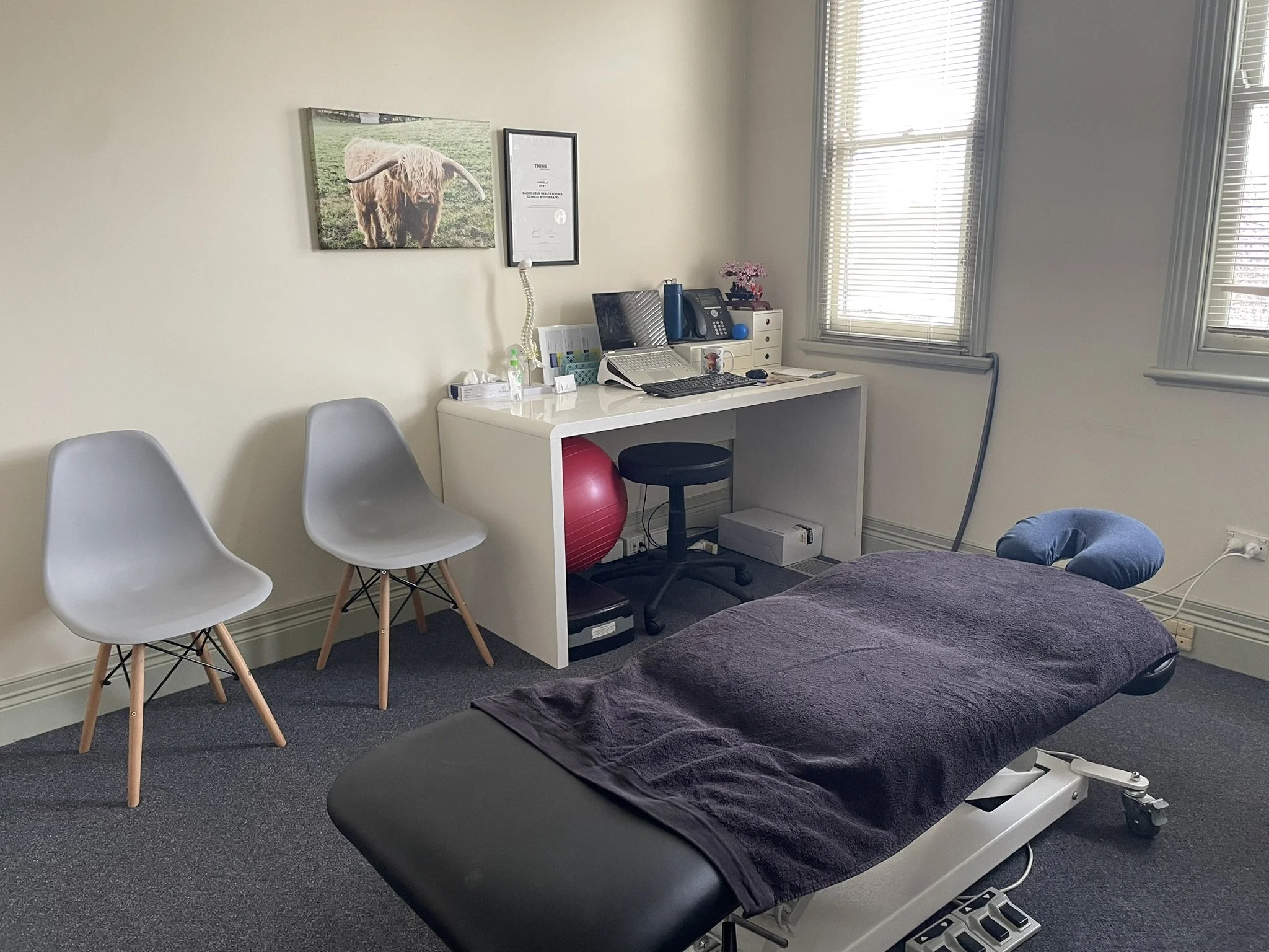 Angela Byrt Myotherapy @ Latrobe Health Centre, Geelong, VIC