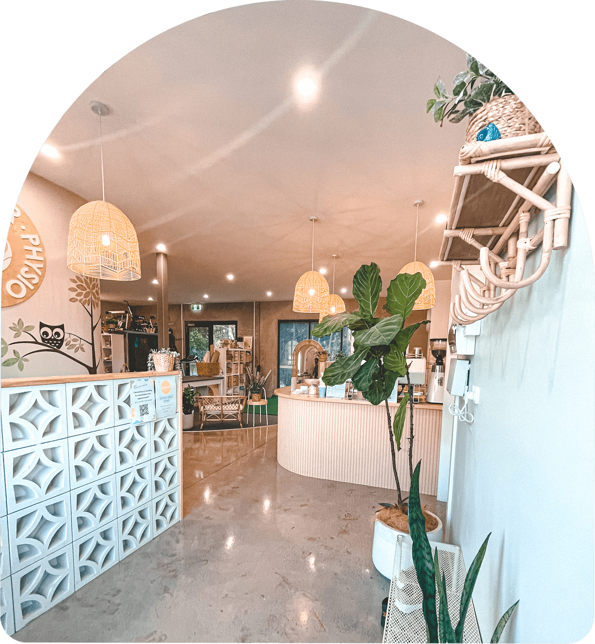 Pitter Patter Physio, Sippy Downs, QLD