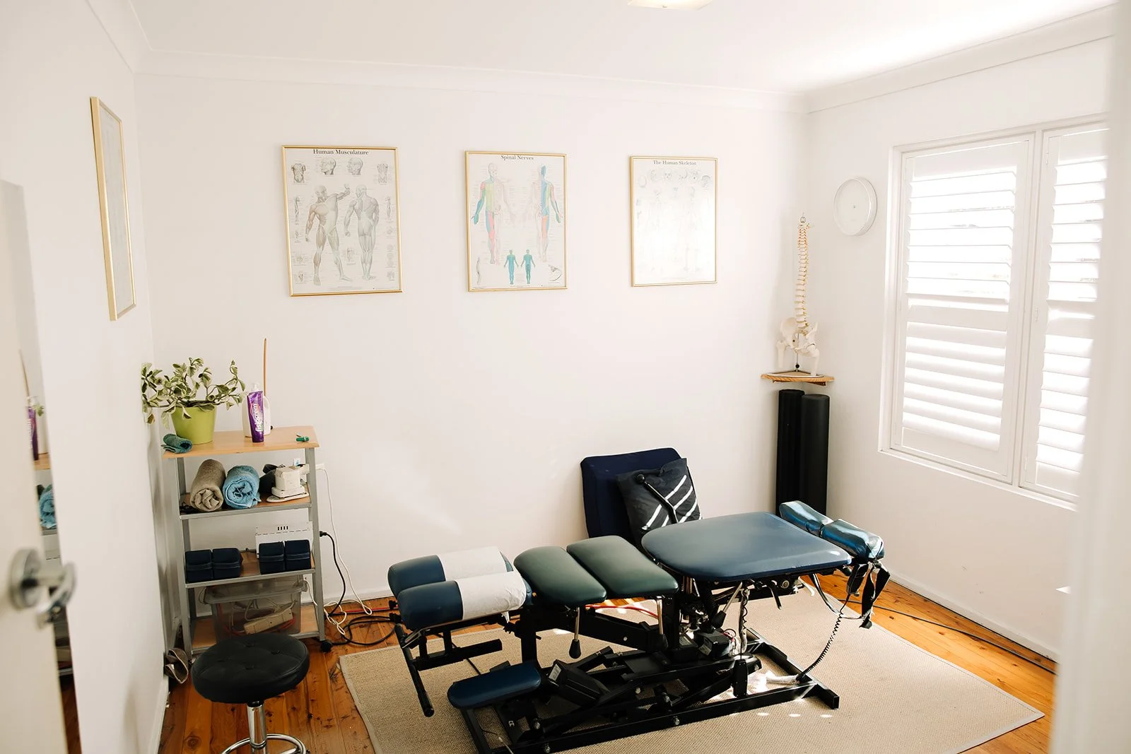Belrose Chiropractic, Belrose, NSW