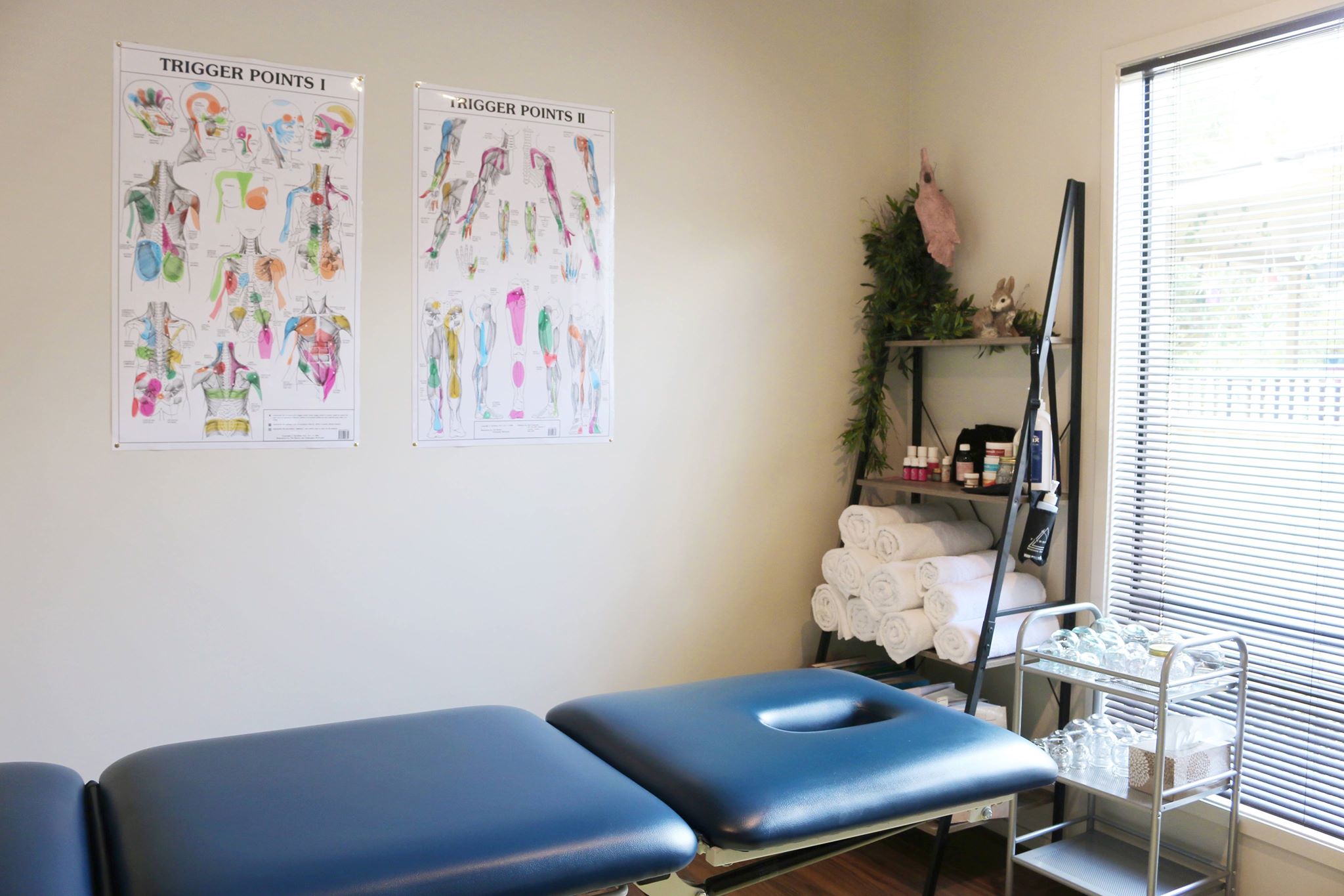 Directional Bodywork Clinic, Corinda, QLD