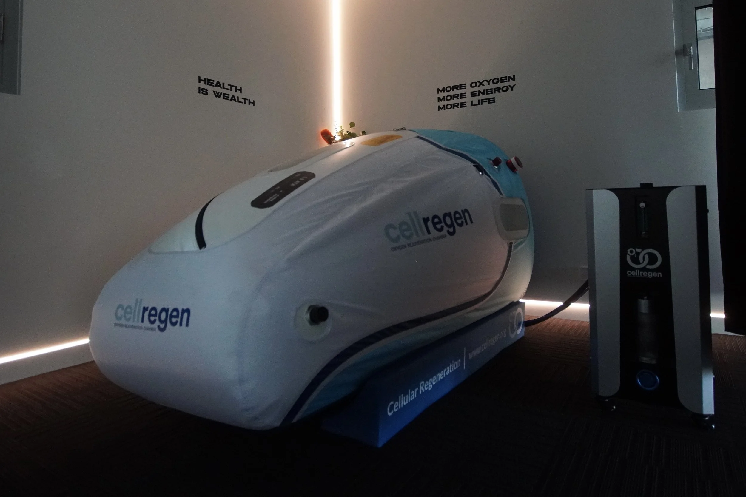 Thrve Centr Recovery & Wellness, Sunbury, VIC