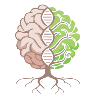 Cassandra L Naturopath, Kenmore, QLD