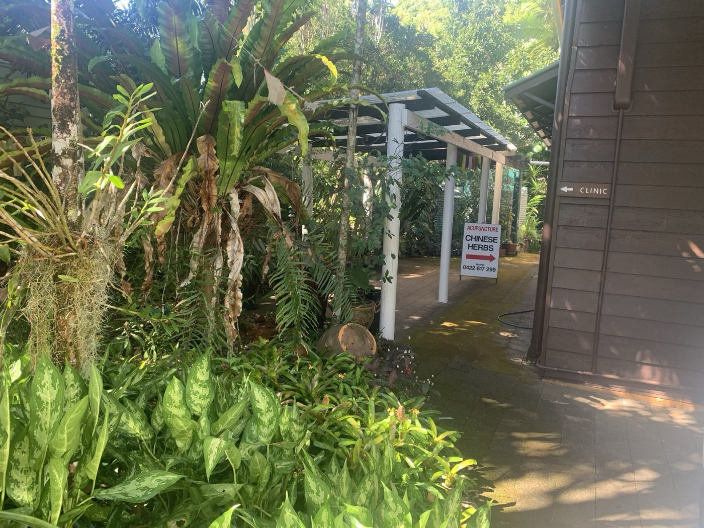 Vicki Collins Acupuncture and Chinese Medicine, Machans Beach, QLD