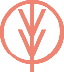 Vivo Chiropractic, Hamilton, NSW