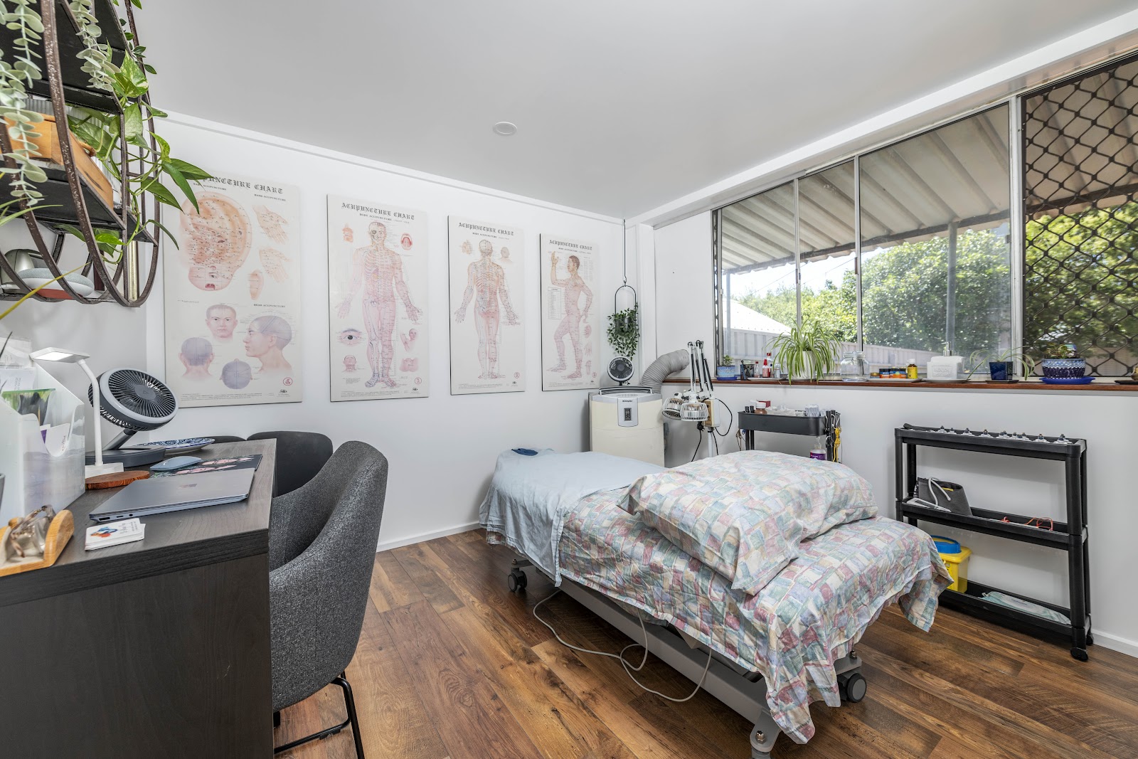 Weston Creek Acupuncture & Chinese Medicine, Rivett, ACT