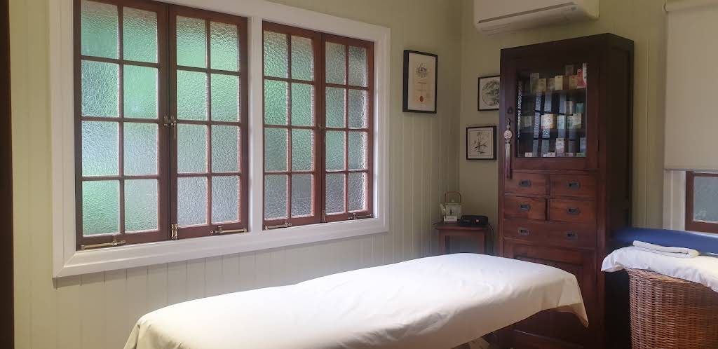 Traditional Chinese Medicine (TCM) Acupuncture, Gabriel Estay, Holland Park, QLD